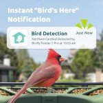 Smart Bird Feeder with Camera and AI Identification