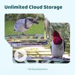 Smart Bird Feeder with Camera and AI Identification