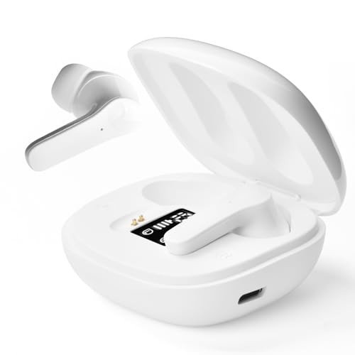 Taotuo Real-Time AI Language Translation Earbuds
