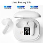 Taotuo Real-Time AI Language Translation Earbuds