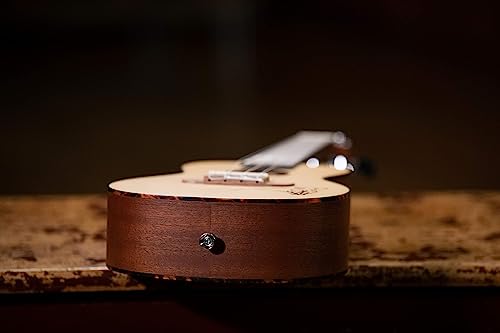 Ortega Bonfire Concert Ukulele - 4-String (RU5)