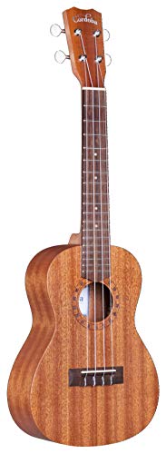 Cordoba Concert Ukulele Pack: Travel Bag Included