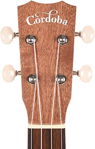 Cordoba Concert Ukulele Pack: Travel Bag Included