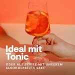 Laori Ruby No 04: Fruity Non-Alcoholic Spritz
