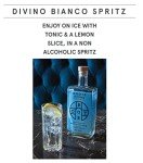 Roots Divino Bianco - Alkoholfreier Vermouth 700 ml