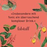 Dr. Jaglas Hibiskus - Alkoholfreier Aperitif Likör