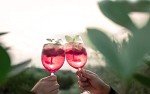 VINCENT Alkoholfreier Aperitif mit Himbeernoten