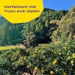 POLLY Alkoholfrei Limoncello mit Yuzu und Zitrone