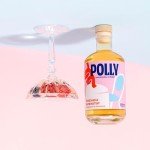 POLLY Wermuth & Orange – Veganer Aperitif