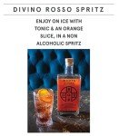 Roots Divino Rosso: Alkoholfreier Vermouth Aperitif
