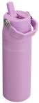 STANLEY IceFlow 24 OZ Water Bottle with Straw