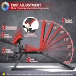 Adjustable Weight Bench with Leg Curl and Extension