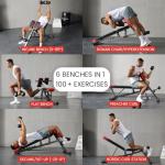 Multi-Functional Weight Bench for Full Body Workout