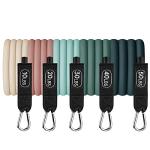 Retrospec 5pc Resistance Bands Set with Accessories