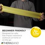 TheraBand Non-Latex Resistance Bands - Beginner Set