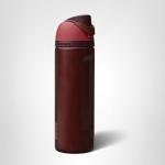 Insulated Stainless Steel Water Bottle with Straw