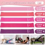 Hoedia Pilates Kit with Ring, Ball, Resistance Bands