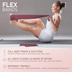 15-Inch Pilates Ring Set with Core Ball and Bands