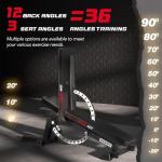 Adjustable Heavy-Duty Weight Bench for Workouts