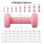 RUNWE Dumbbells Set of 2 - Cast Iron Pink Dumbbell 5 LB Weights Set of 2, Hand Weights Set Exercise & Fitness Dumbbell Free Weights for Child, Women, Men