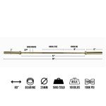 Valor Fitness Womens Olympic Barbell - 35 lb Needle Bearing - Gold Titanium Coated – 1000 lbs - 25MM - Enhanced Spin- Knurl Free Center – Crossfit Power Lifting Workout Equipment