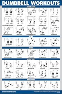 Dumbbell Workout Exercise Poster - Laminated Guide