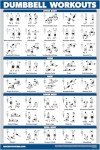 Dumbbell Workout Exercise Poster - Laminated Guide