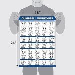 Dumbbell Workout Exercise Poster - Laminated Guide