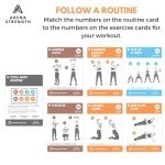 Dumbbell Workout Cards with Video Instructions