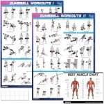Dumbbell Workout Poster Set - Home Gym Charts