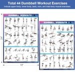 Dumbbell Workout Poster Set - Home Gym Charts