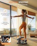 2-in-1 Twist and Vertical Stepper with Bands