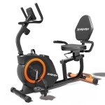 Comfortable Recumbent Exercise Bike with LCD Display