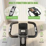 Caromix Folding Magnetic Exercise Bike with Resistance