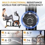 Comfortable Recumbent Exercise Bike with LCD Display