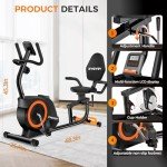 Comfortable Recumbent Exercise Bike with LCD Display