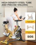 Magnetic Resistance Indoor Cycling Bike with LCD Monitor