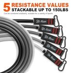 Resistance Bands Set with Handles and Accessories