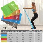 5-Piece Professional Resistance Band Set