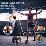 5-Piece Professional Resistance Band Set