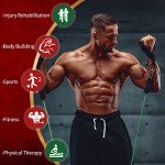 VEICK Resistance Bands for Home Workouts