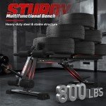 FLYBIRD Adjustable Foldable Weight Bench with Leg Extension