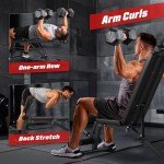 FLYBIRD Adjustable Foldable Weight Bench with Leg Extension