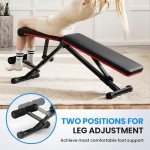 Adjustable Foldable Weight Bench for Home Gym