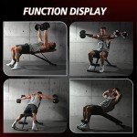 Adjustable Weight Bench for Full Body Workouts