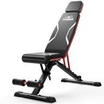 FLYBIRD Foldable Adjustable Weight Bench for Home Gym
