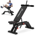 Adjustable Incline Decline Weight Bench for Home Gym