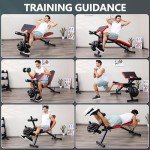 Adjustable Weight Bench for Full Body Workouts