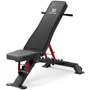 Heavy Duty Adjustable Weight Bench for Home Gym