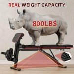 Adjustable Foldable Weight Bench for Home Gym
